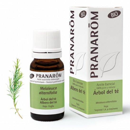Pranarom Olio Essenziale BIO - Tea Tree - Melaleuca - 10 ml