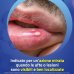Aftamed Gel Orale per Afte - 10 ml