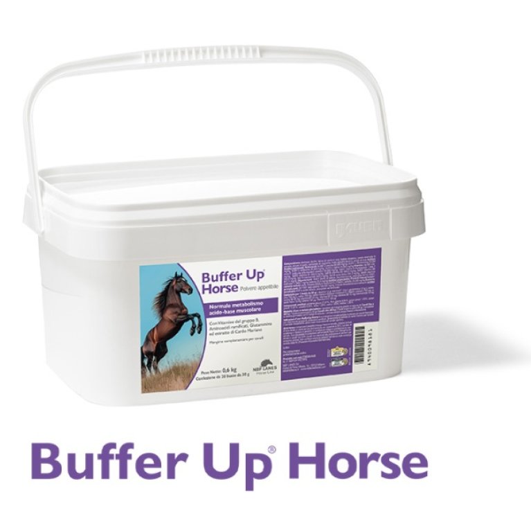 Buffer Up Horse - 20 buste da 30 grammi - Supporto muscolare per cavalli sportivi