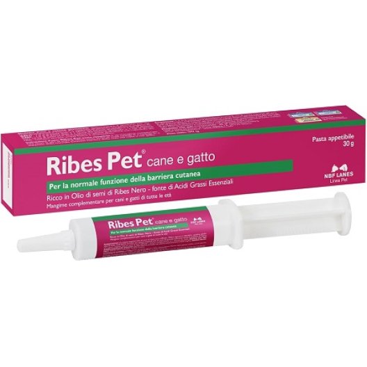 Ribes Pet pasta - siringa da 30 grammi Ribes Pet pasta - siringa da 30 grammi