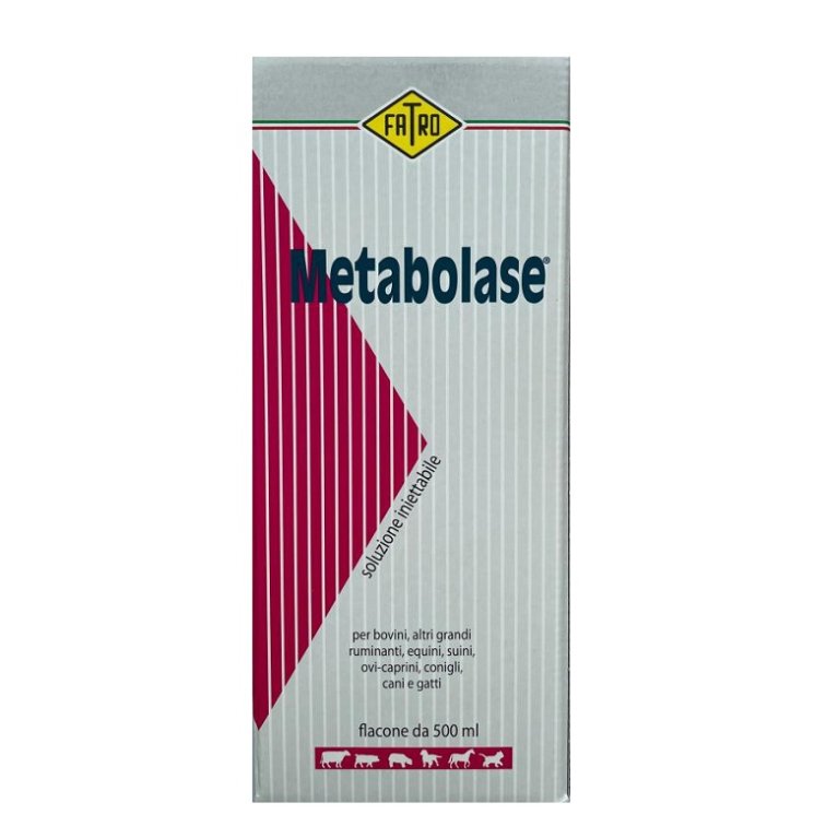 Metabolase soluzione iniettabile disintossicante e defatigante 500 ml Metabolase soluzione iniettabile disintossicante e defatigante 500 ml