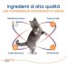 Movoflex Gatto - 30 bocconcini masticabili - per la salute articolare del gatto Movoflex Gatto - 30 bocconcini masticabili - per la salute articolare del gatto