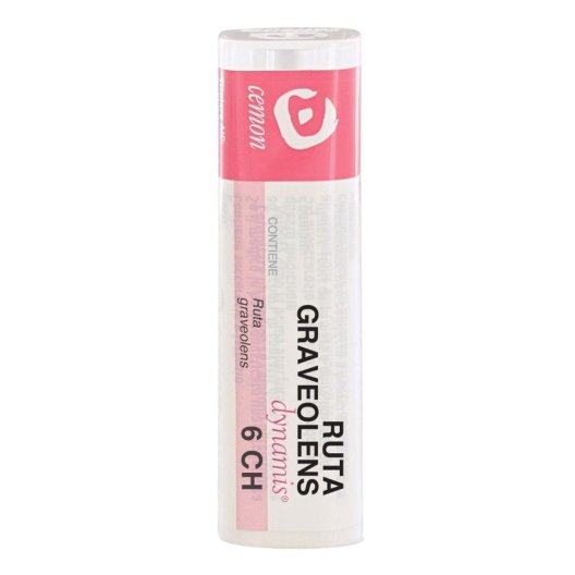 RUTA GRAVEOLENS DYN*6CH GR RUTA GRAVEOLENS DYN*6CH GR