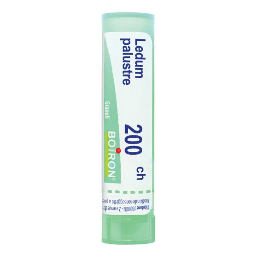 LEDUM PALUSTRE BOI*200CH80GR4G