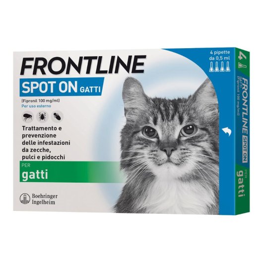 FRONTLINE*4PIP GATTI FRONTLINE*4PIP GATTI