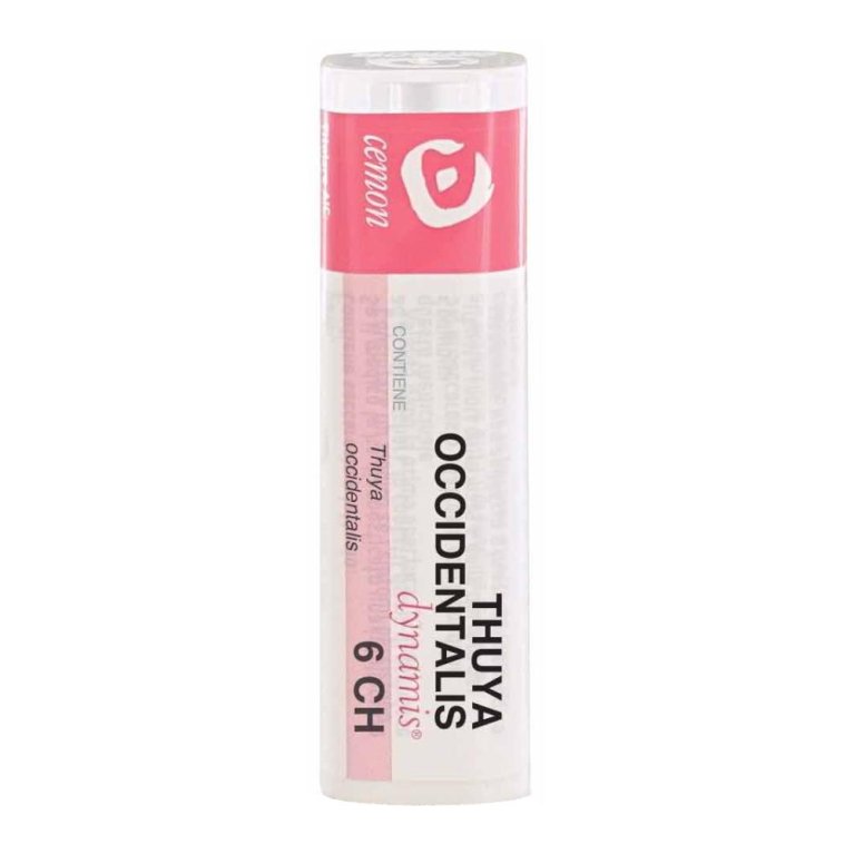 THUYA OCCIDENT 6CH GR THUYA OCCIDENT 6CH GR