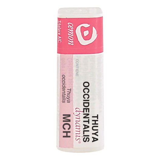 THUYA OCCIDENT MCH GL THUYA OCCIDENT MCH GL