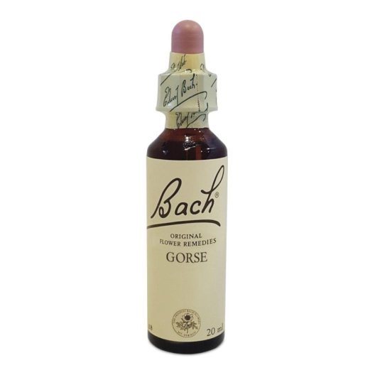 BACH CENTER ESS GORSE 20ML BACH CENTER ESS GORSE 20ML
