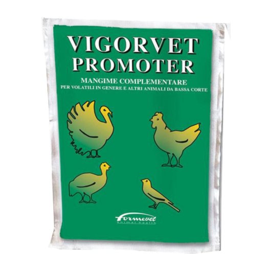 VIGORVET PROMOTER 100G VIGORVET PROMOTER 100G