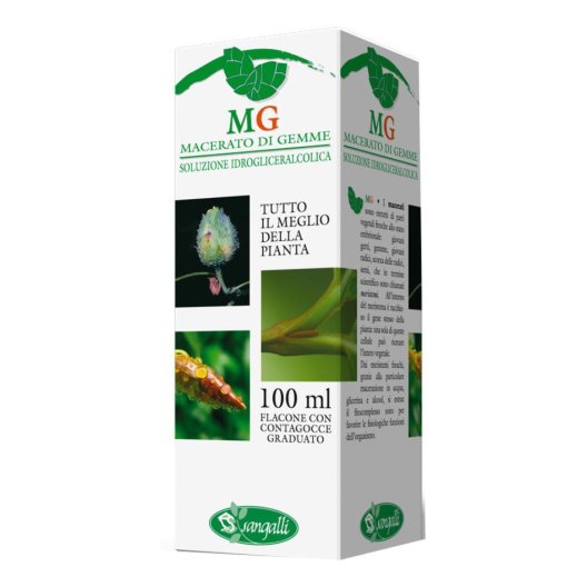 BETULA PUBESCENS 100ML MG BETULA PUBESCENS 100ML MG