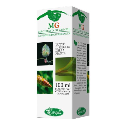 BETULA VERRUCOSA 100ML MG BETULA VERRUCOSA 100ML MG