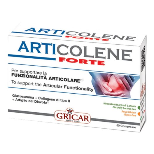 ARTICOLENE FT INTEGRAT 60TAV ARTICOLENE FT INTEGRAT 60TAV