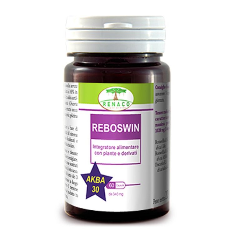 REBOSWIN 60CPS RE.NA.CO. REBOSWIN 60CPS RE.NA.CO.
