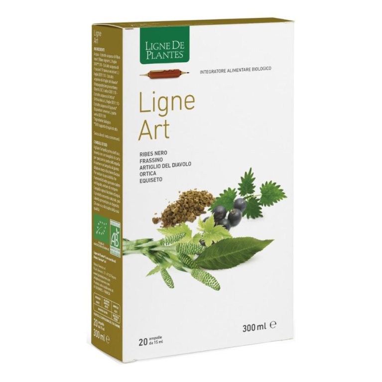 LIGNE ART 20ABX15ML LIGNE ART 20ABX15ML
