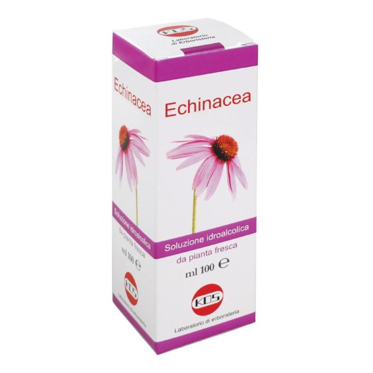 ECHINACEA SOL IAL PIANTA FR100