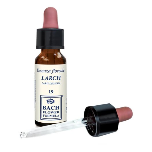 LARCH ORIGINAL 10ML GTT