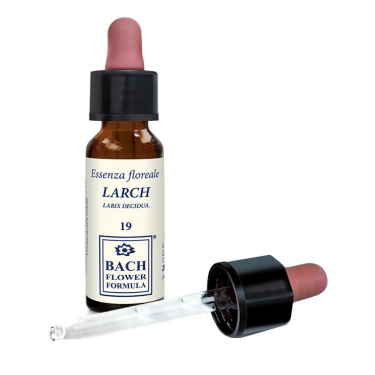 LARCH ORIGINAL 10ML GTT LARCH ORIGINAL 10ML GTT