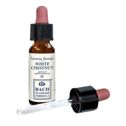 WHITE CHESTNUT ORIGINAL 10ML WHITE CHESTNUT ORIGINAL 10ML