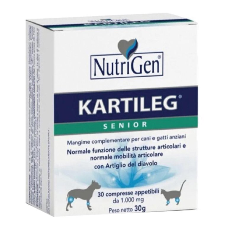 KARTILEG SENIOR 30TAV KARTILEG SENIOR 30TAV