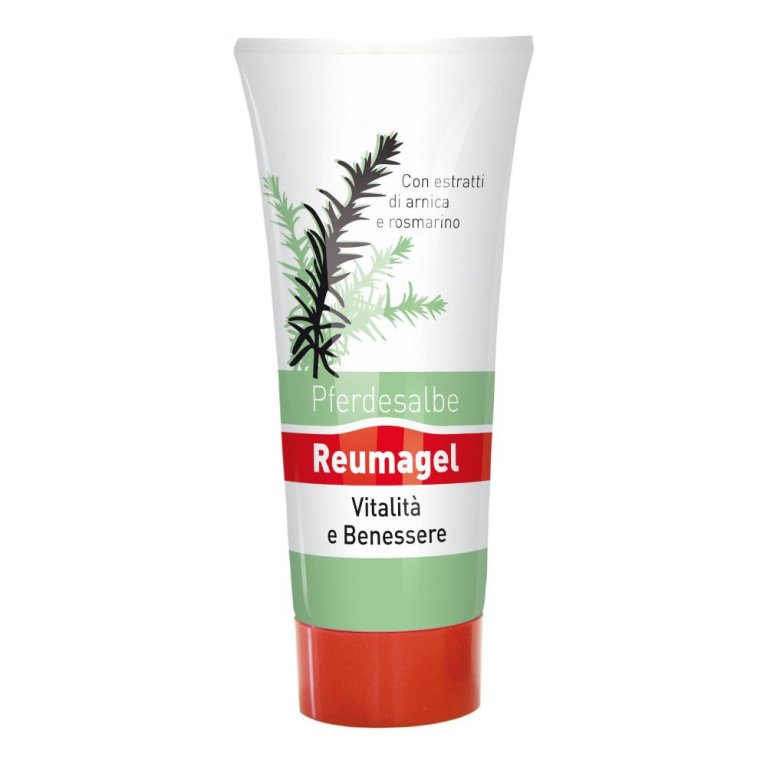 REUMAGEL PFERDESALBE GEL 200ML REUMAGEL PFERDESALBE GEL 200ML