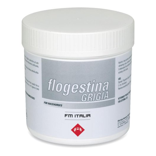 FLOGESTINA GRIGIA PASTA 1KG FLOGESTINA GRIGIA PASTA 1KG