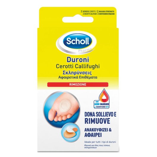 SCHOLL CER CALLIFUGHI DURO SCHOLL CER CALLIFUGHI DURO