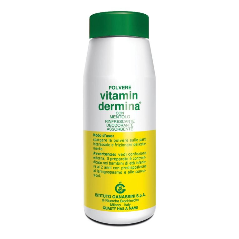 VITAMINDERMINA POLV MENT 100G VITAMINDERMINA POLV MENT 100G