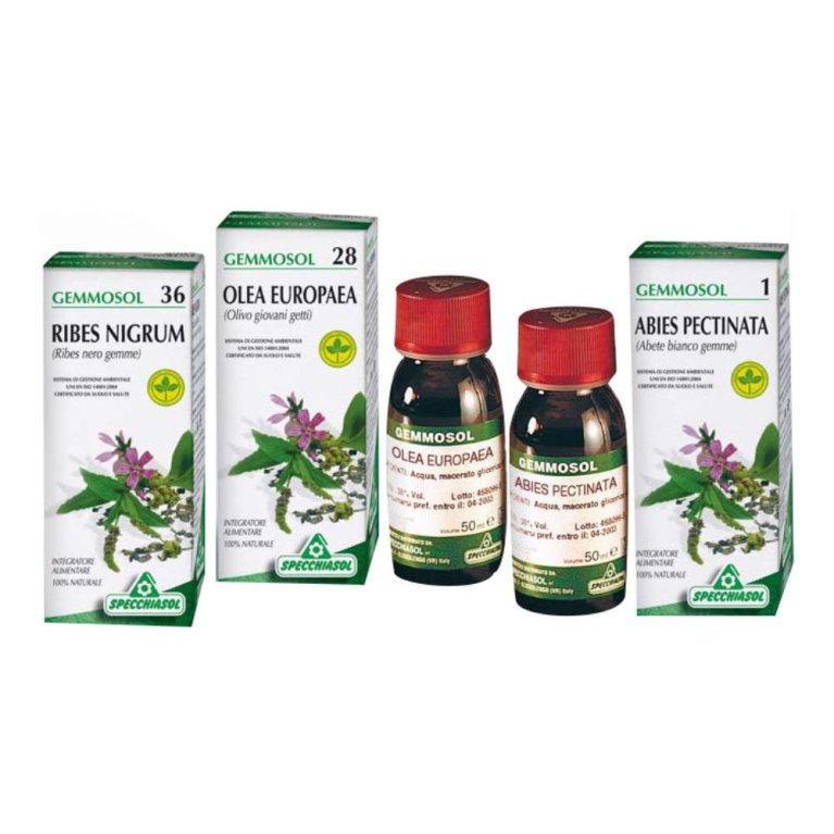 GEMMOSOL 36 RIBES NERO 50ML GEMMOSOL 36 RIBES NERO 50ML