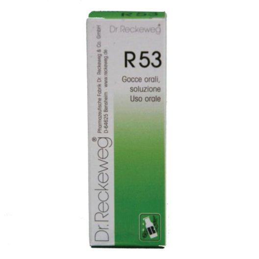 RECKEWEG R53 GOCCE 22ML RECKEWEG R53 GOCCE 22ML