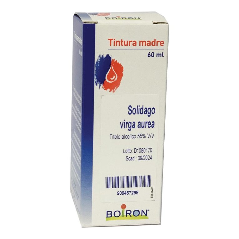 SOLIDAGO VIRGA AUREA 60ML TM SOLIDAGO VIRGA AUREA 60ML TM