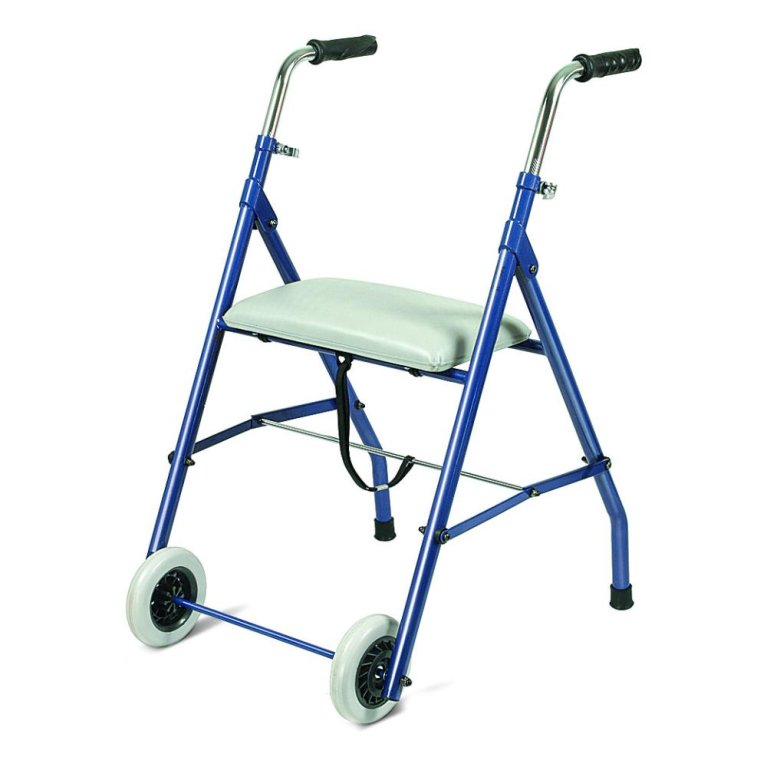 GIRELLO DEAMBUL C/RUOTE ANT GIRELLO DEAMBUL C/RUOTE ANT