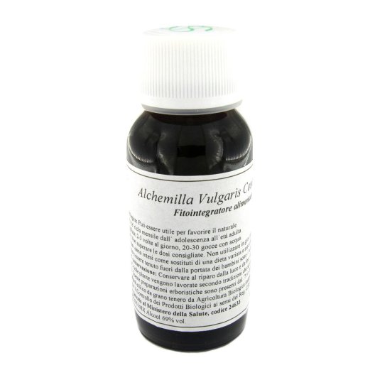 LVS 19N ALCHEMILLA VULGAR COMP LVS 19N ALCHEMILLA VULGAR COMP