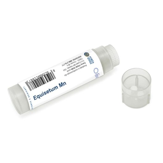 EQUISETUM MN 100GL EQUISETUM MN 100GL