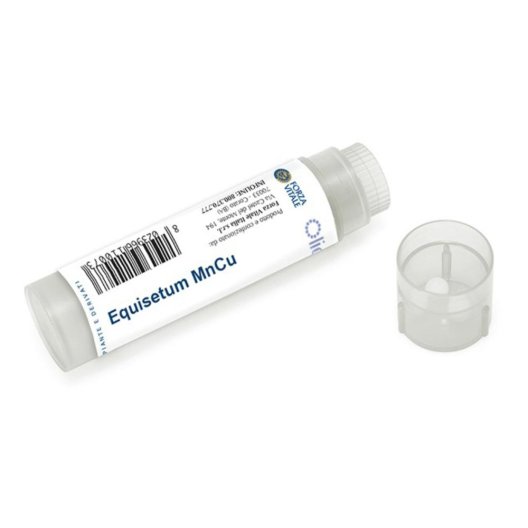 EQUISETUM MN/CU 100GL EQUISETUM MN/CU 100GL