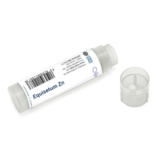 EQUISETUM ZN 100GL EQUISETUM ZN 100GL