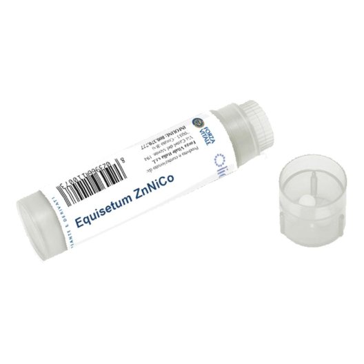 EQUISETUM ZN/NI/CO 100GL EQUISETUM ZN/NI/CO 100GL