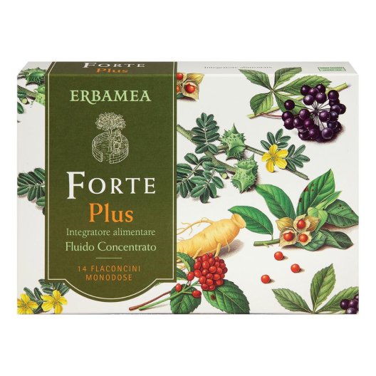 FORTE PLUS 14FL DA 10ML S/GL E
