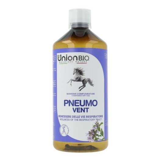 PNEUMO VENT 1 LT PNEUMO VENT 1 LT