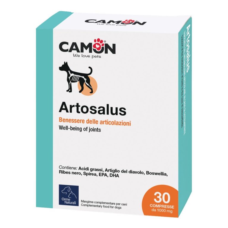 ARTOSALUS COMPRESSE 30CPR ARTOSALUS COMPRESSE 30CPR