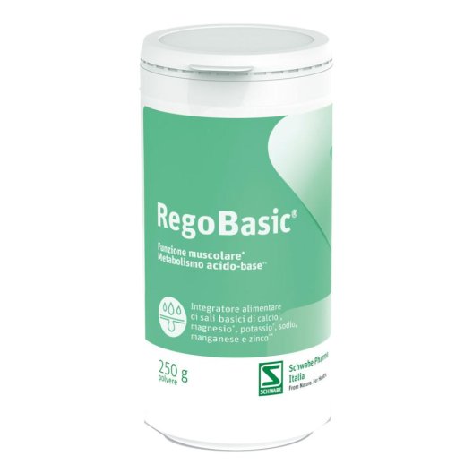 REGOBASIC POLVERE 250G REGOBASIC POLVERE 250G