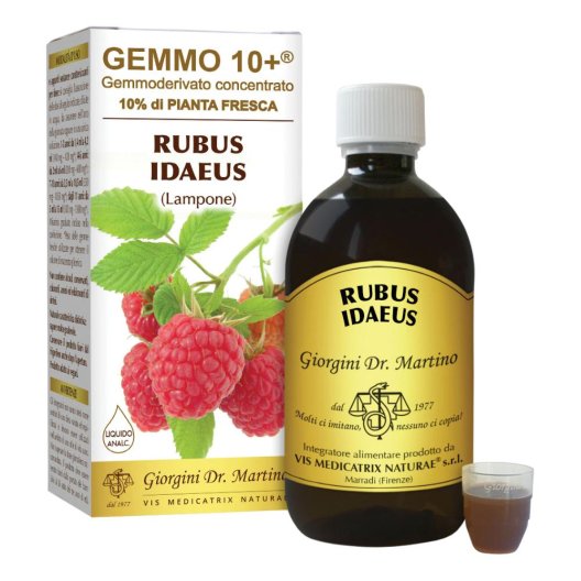 LAMPONE LIQ AN GEMMO 10+ 500ML