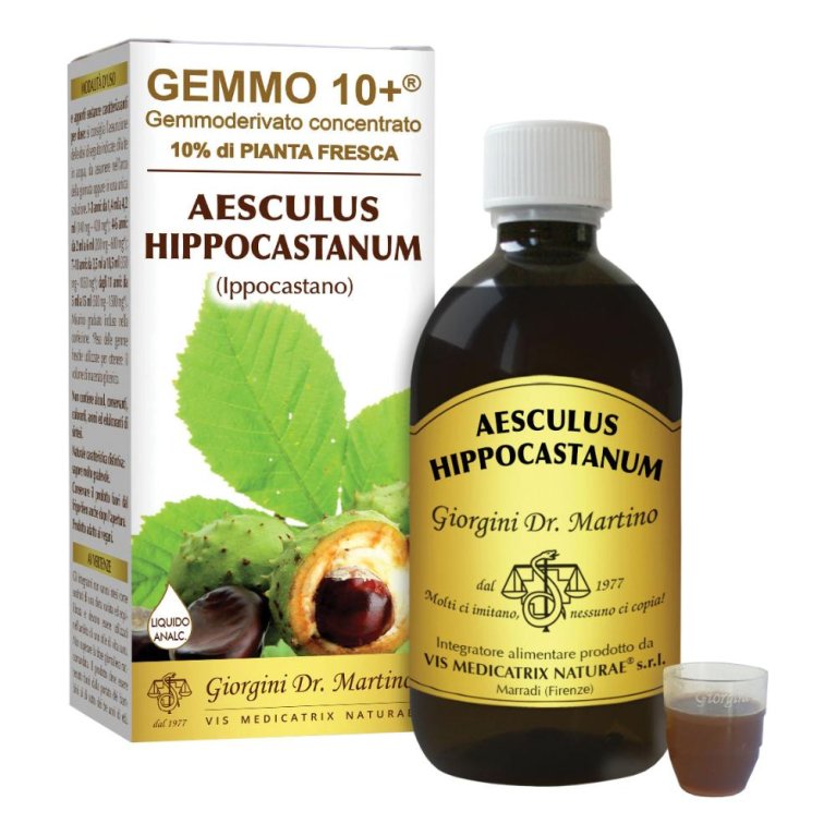 IPPOCASTANO LIQ ANAL GEMMO 10+