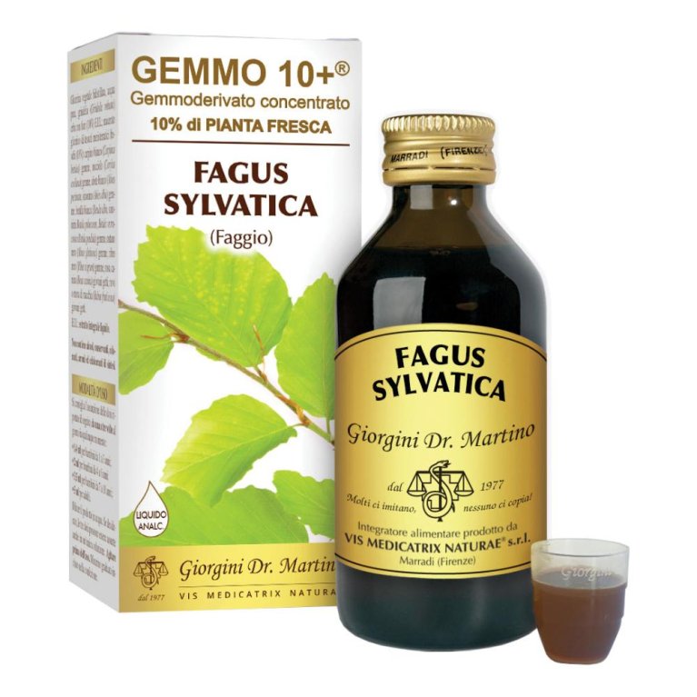 FAGGIO 100ML ANALCO GEMMO 10+