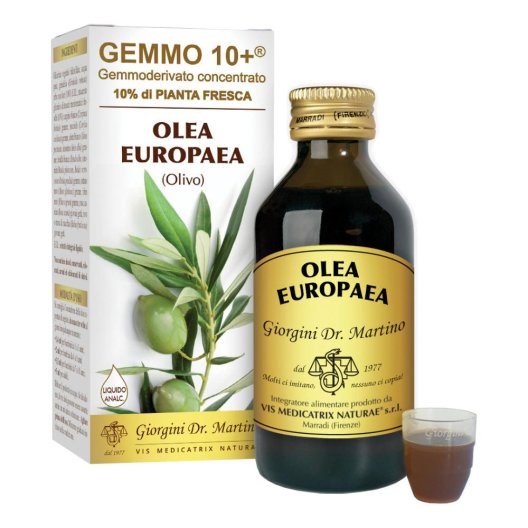 OLIVO 100ML ANALCO GEMMO 10+