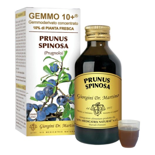 PRUGNOLO 100ML ANALCO GEM 10+