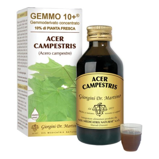 ACERO CAMP 100ML ANALCO GEM10+