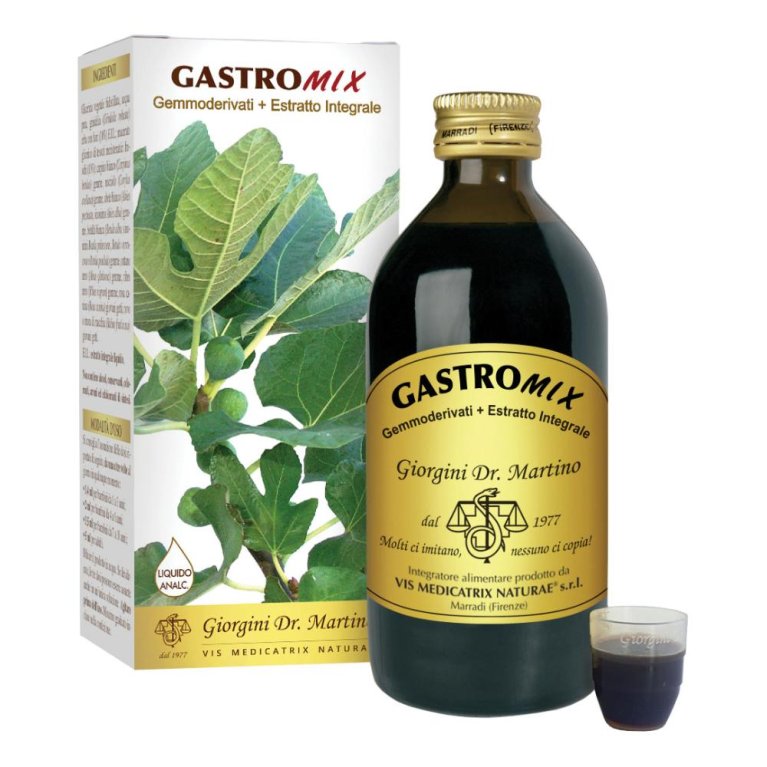 GASTROMIX LIQUIDO ANALC 200ML GASTROMIX LIQUIDO ANALC 200ML
