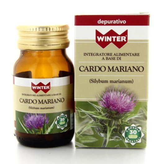 WINTER CARDO MARIANO 30CPS VEG WINTER CARDO MARIANO 30CPS VEG