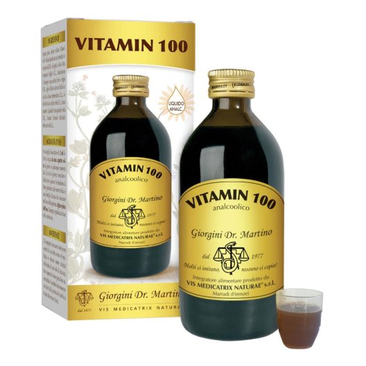 VITAMIN 100 LIQUIDO ANALC200ML