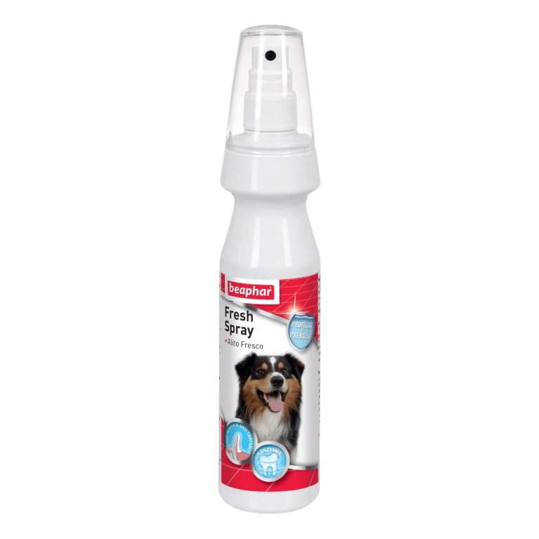 FRESH SPRAY 150ML FRESH SPRAY 150ML
